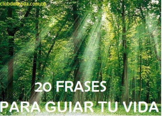 20 FRASES PARA GUIAR TU VIDA