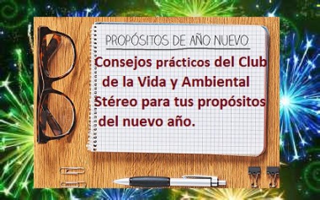 PROPÓSITOS AÑO NUEVO CLUB